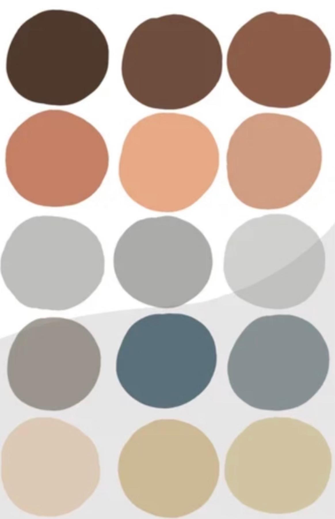 Color Palette for Guest