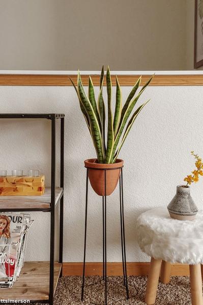 Terracotta Floor Plant Stand - 24.75"