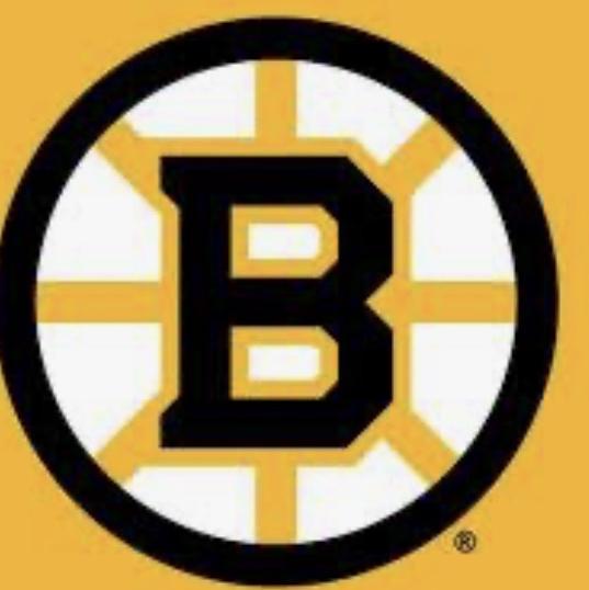Bruins Game Fund