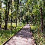Carolina Beach State Park