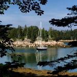 Hike along the coastline at the Edgar M. Tennis Preserve