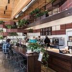 Sip Coffee at Nossa Familia Coffee