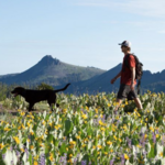 Shirley Lake Trail Hike - Squaw Valley