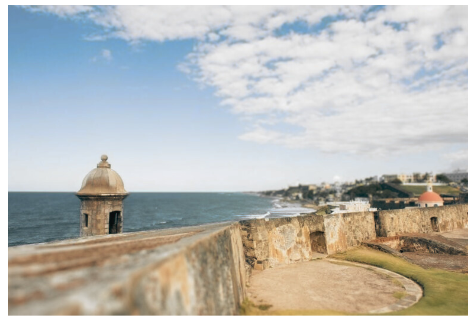 The Wedding Website of Laura Alejandra Gaztambide and Joel Michael Walker
