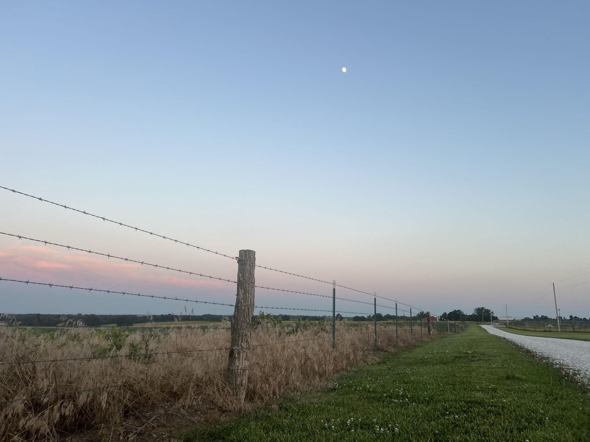 The Wedding Website of Rachael Richards and Garrison Ortiz