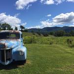Cold Hollow Cider Mill