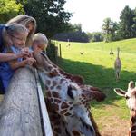 Binder Park Zoo