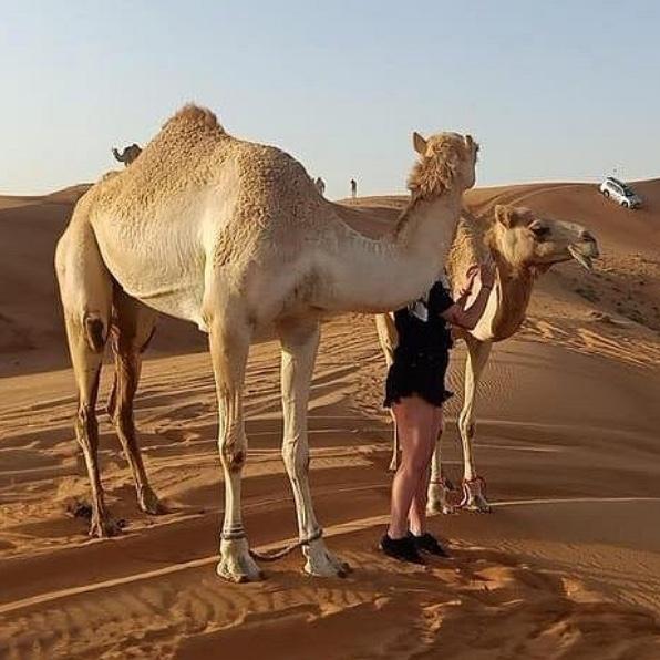 Camel Ride & Desert Tour in Dubai