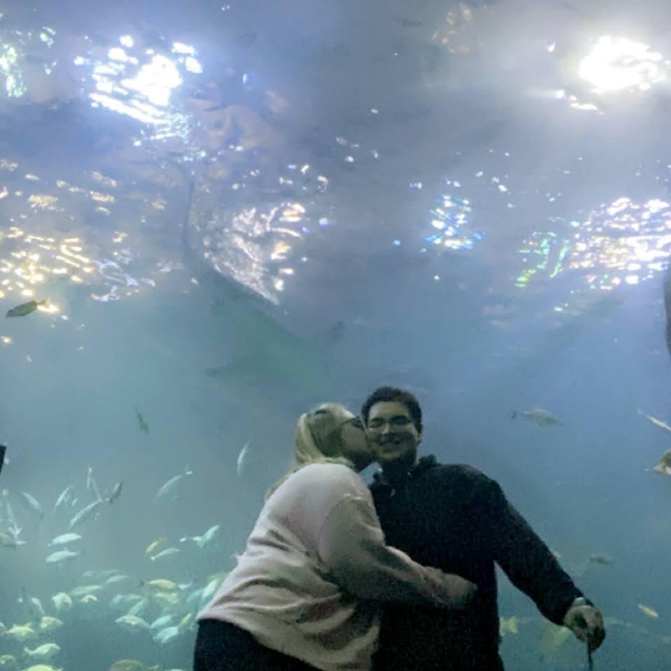 Our favorite date: the aquarium.