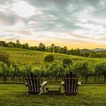 Crane Creek Vineyards