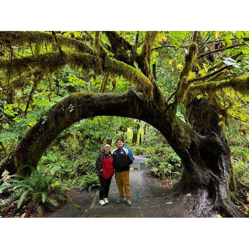 Hoh National Rainforest, WA