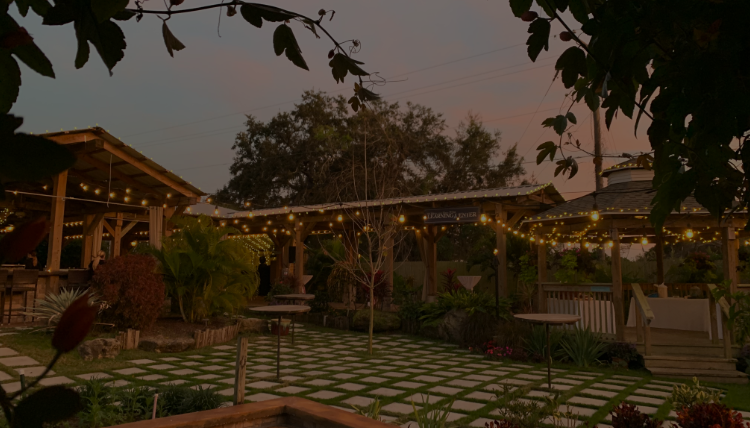 The Wedding Website of Marina Wells and Gabriel Hotchner