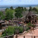 Cheyenne Mountain Zoo