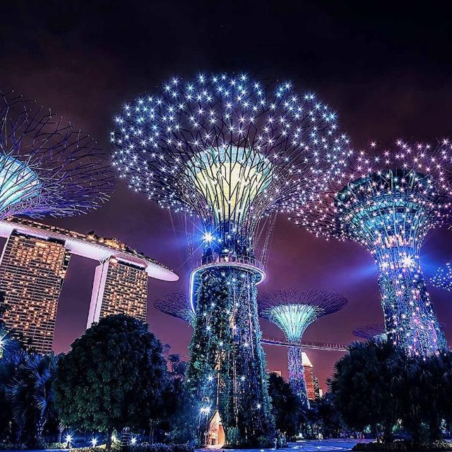 Marina bay sands night garden tour