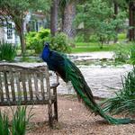 Mayfield Park and Nature Preserve