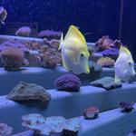 Maui Ocean Center