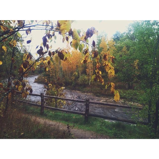October 15th, 2014:
After moving to Traverse City, this was the very first trail they hiked on together, and 3 years later Emilio proposed on this very trail. 💍🍂