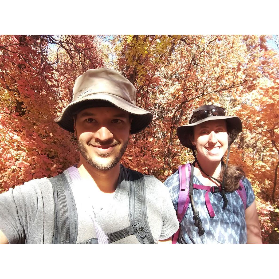 Fall in New Mexico, 2021