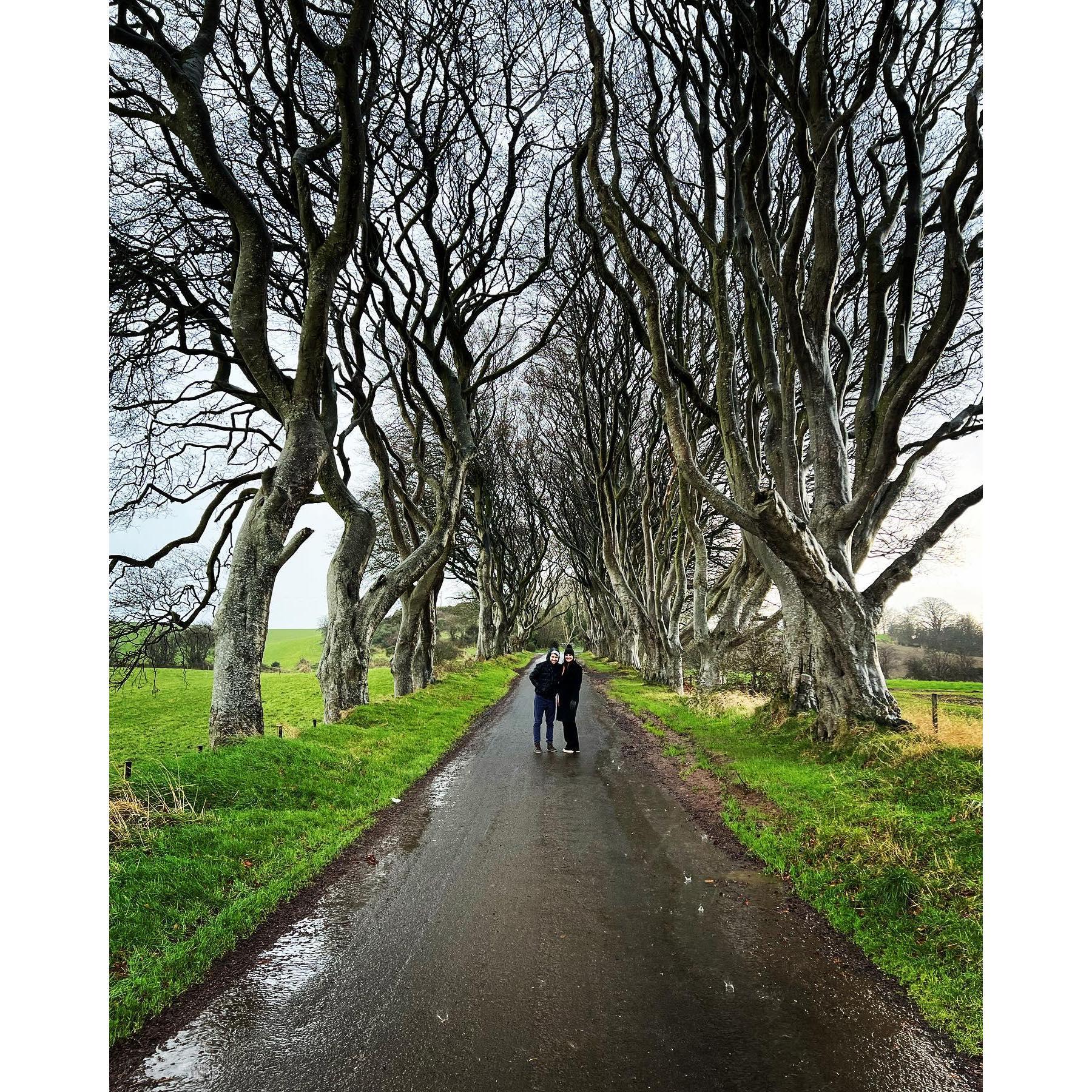 The Dark Hedges, Northern Ireland 2022 ❤️