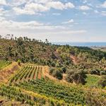 Empordà