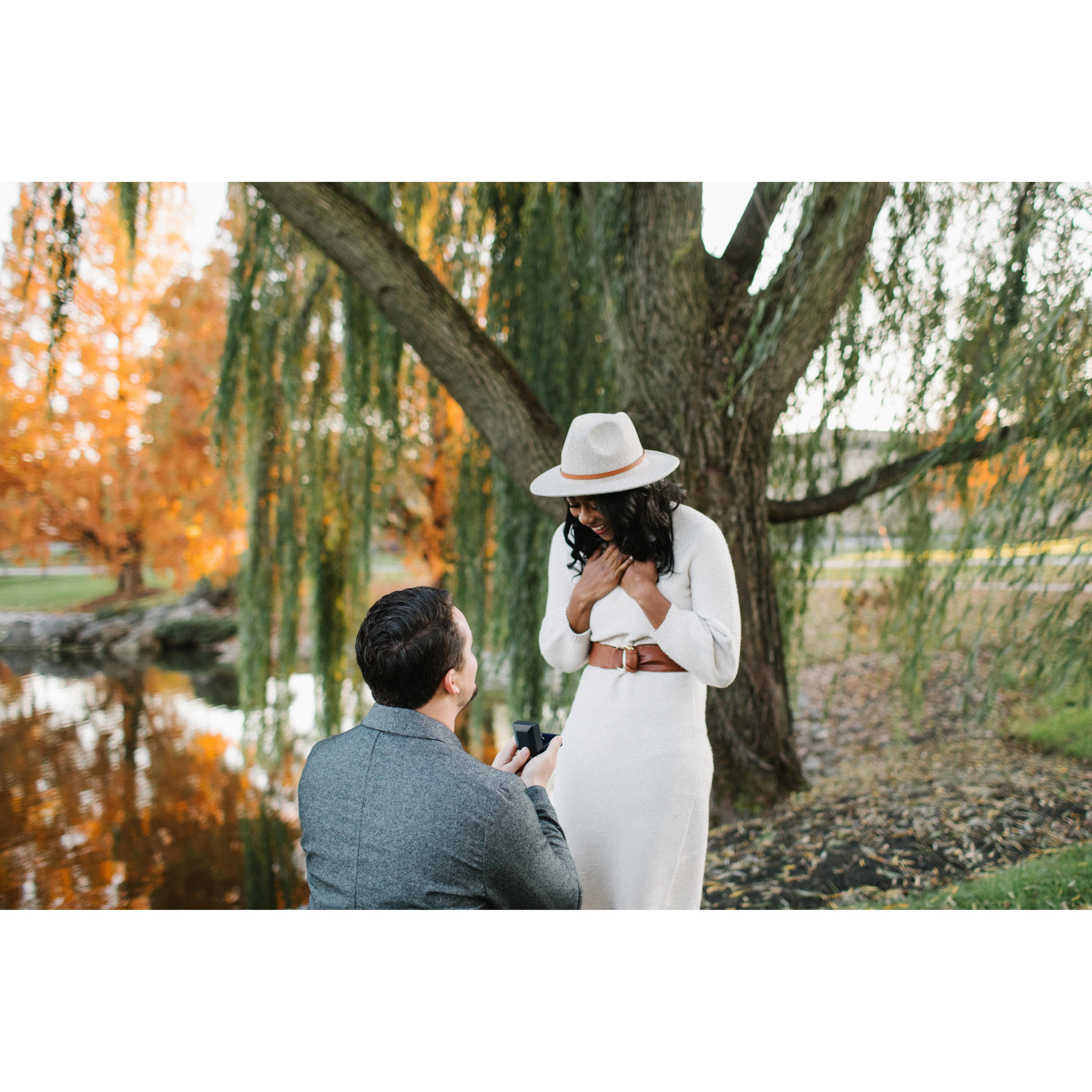The proposal.