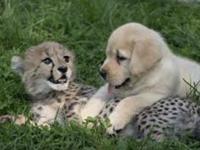 Columbus Zoo and Aquarium