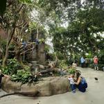 National Aviary