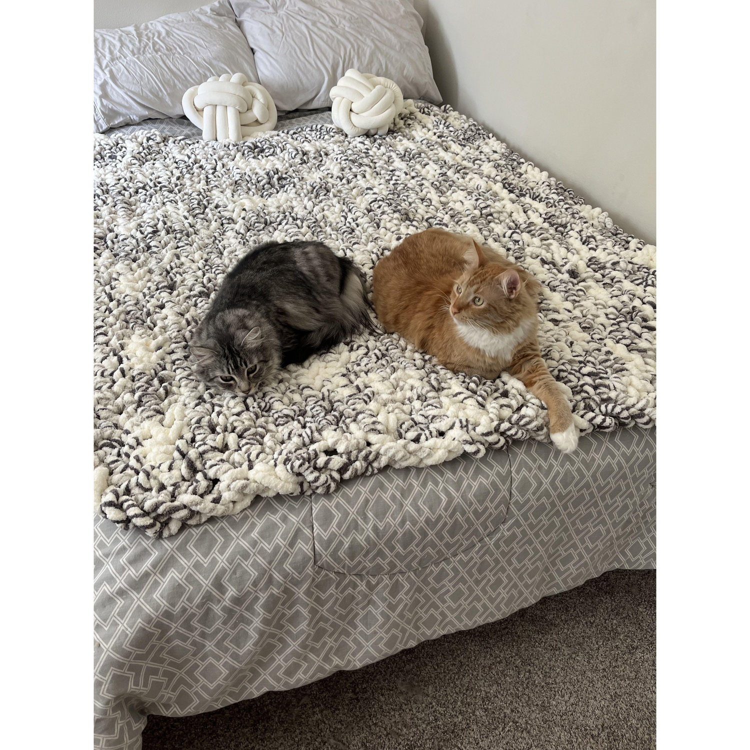 Our two cats, Jazzy and Spice!