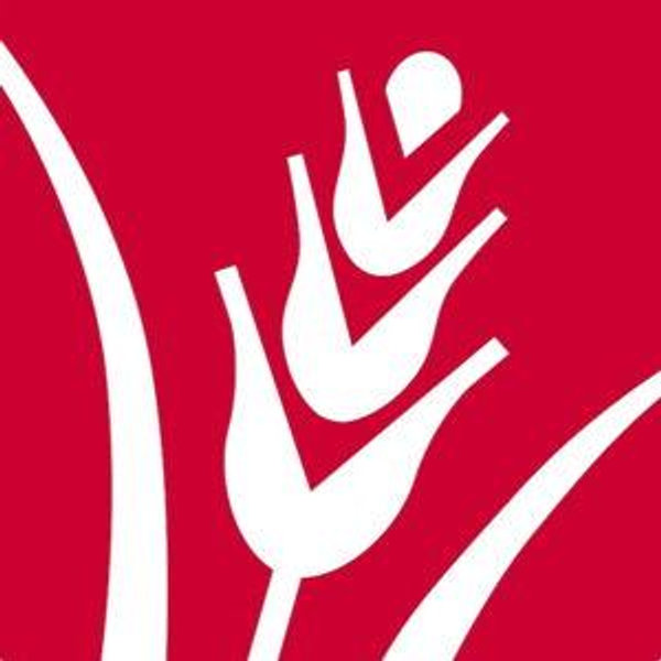 Greater Boston Food Bank