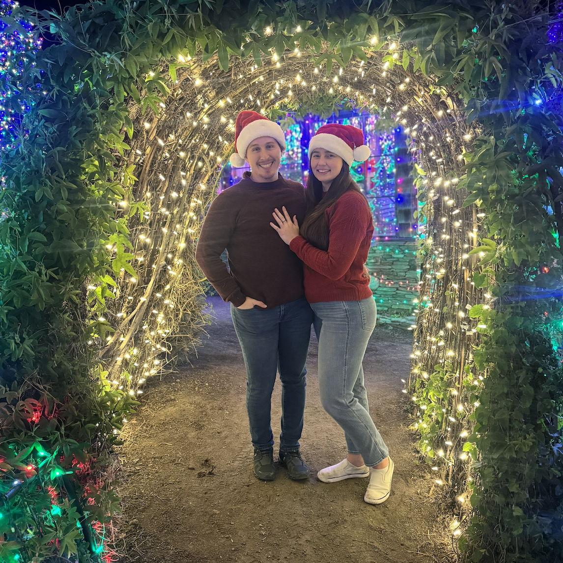 Cambria Lights