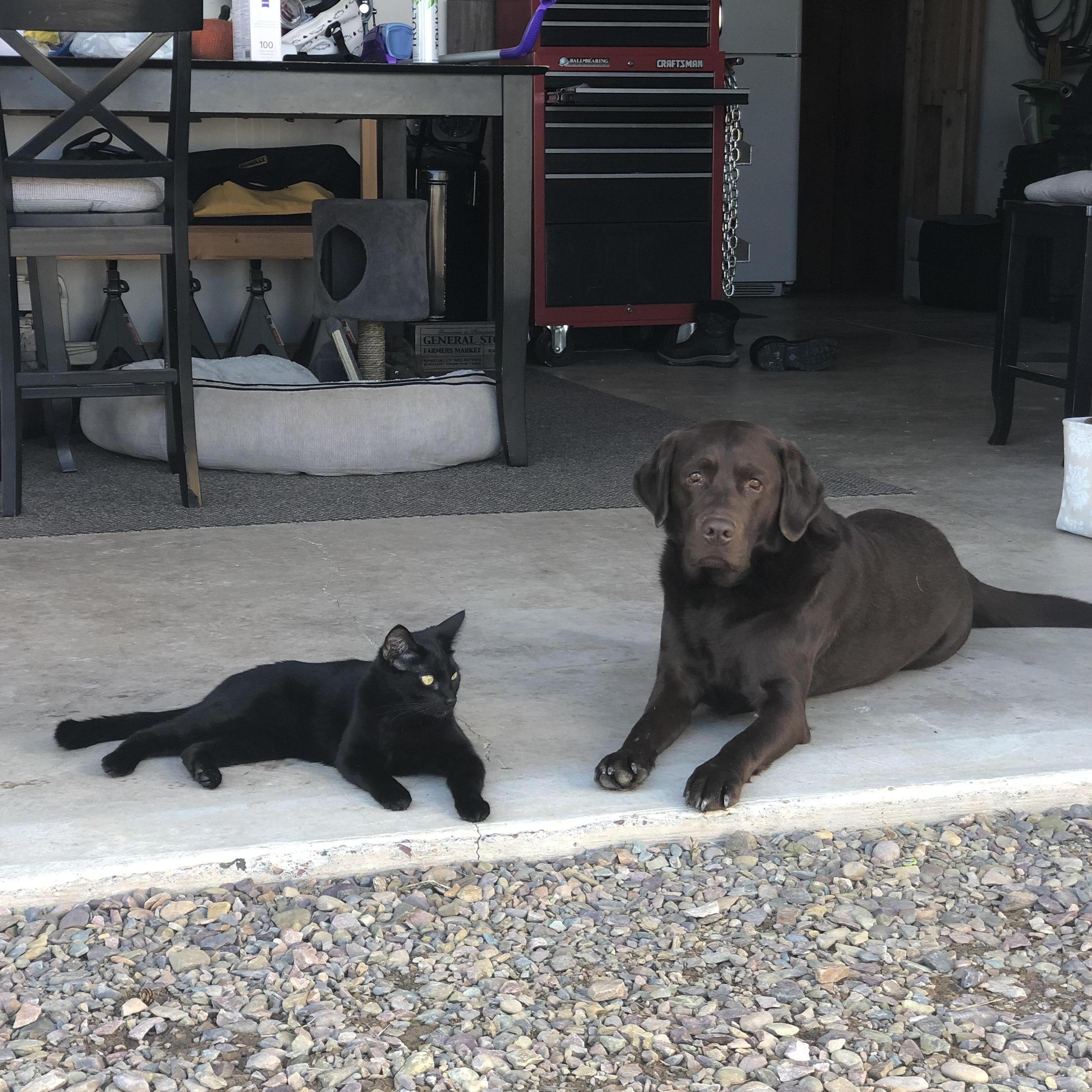 PATRICK AND DOZER