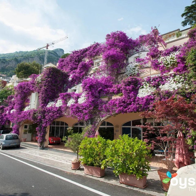 Hotel Pasitea - Positano