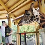 The Abilene Zoo