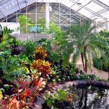 Butterfly Biosphere