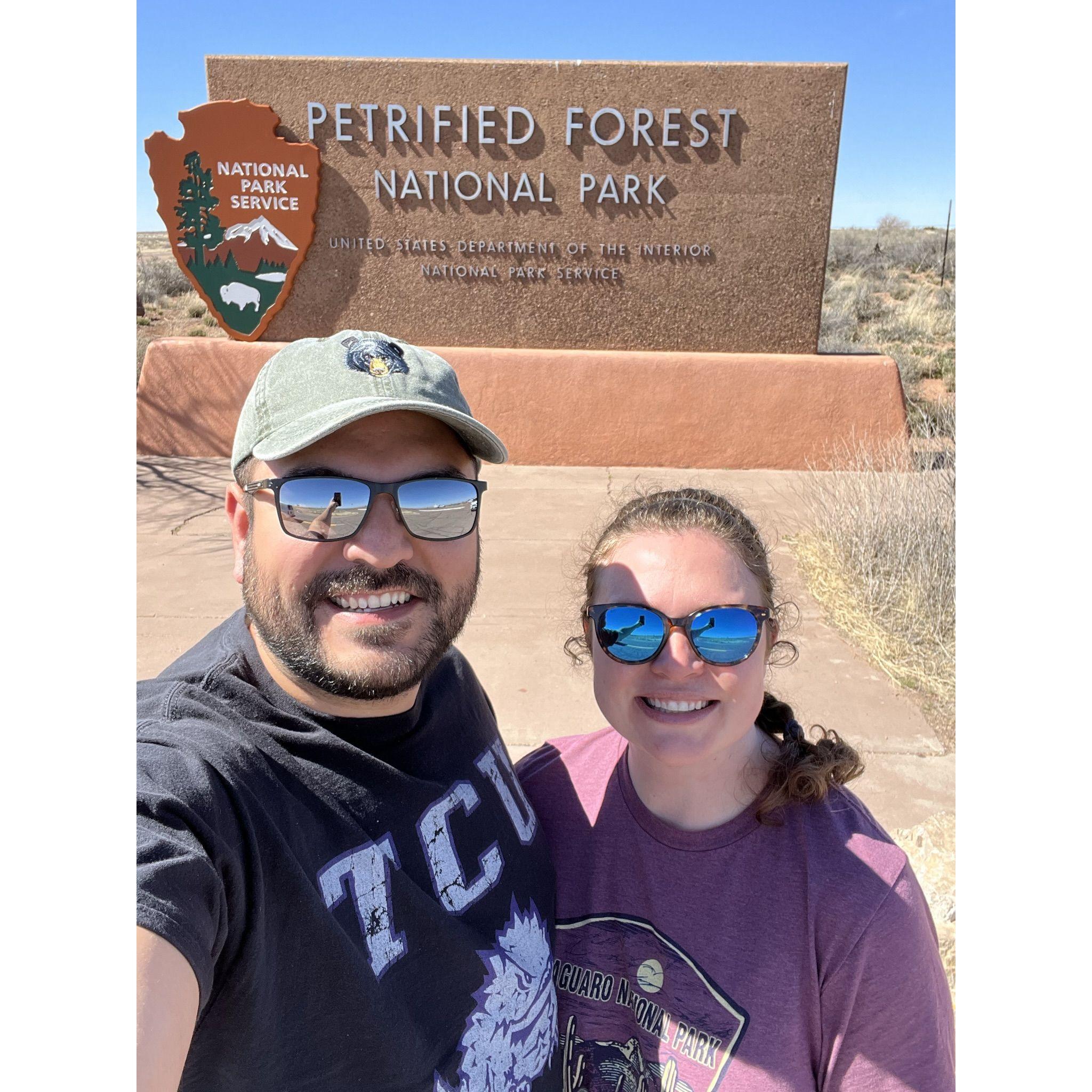 Petrified Forest National Park April 2023
