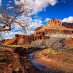 Capitol Reef National Park