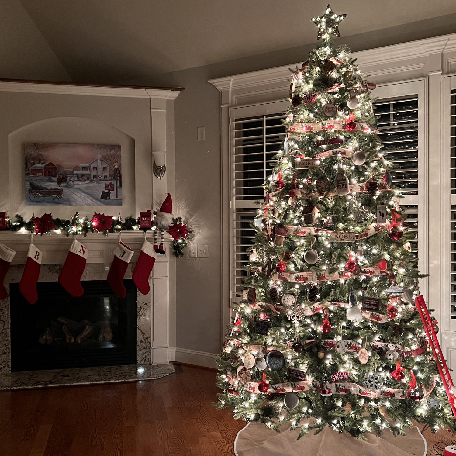 Our Christmas tree and mantle. We had a wonderful time decorating for Christmas