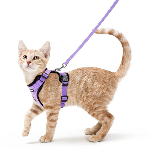 rabbitgoo Cat Harness and Leash for Walking, Escape Proof Soft Adjustable Vest Harnesses for Cats, Easy Control Breathable Reflective Strips Jacket, Light Purple, S