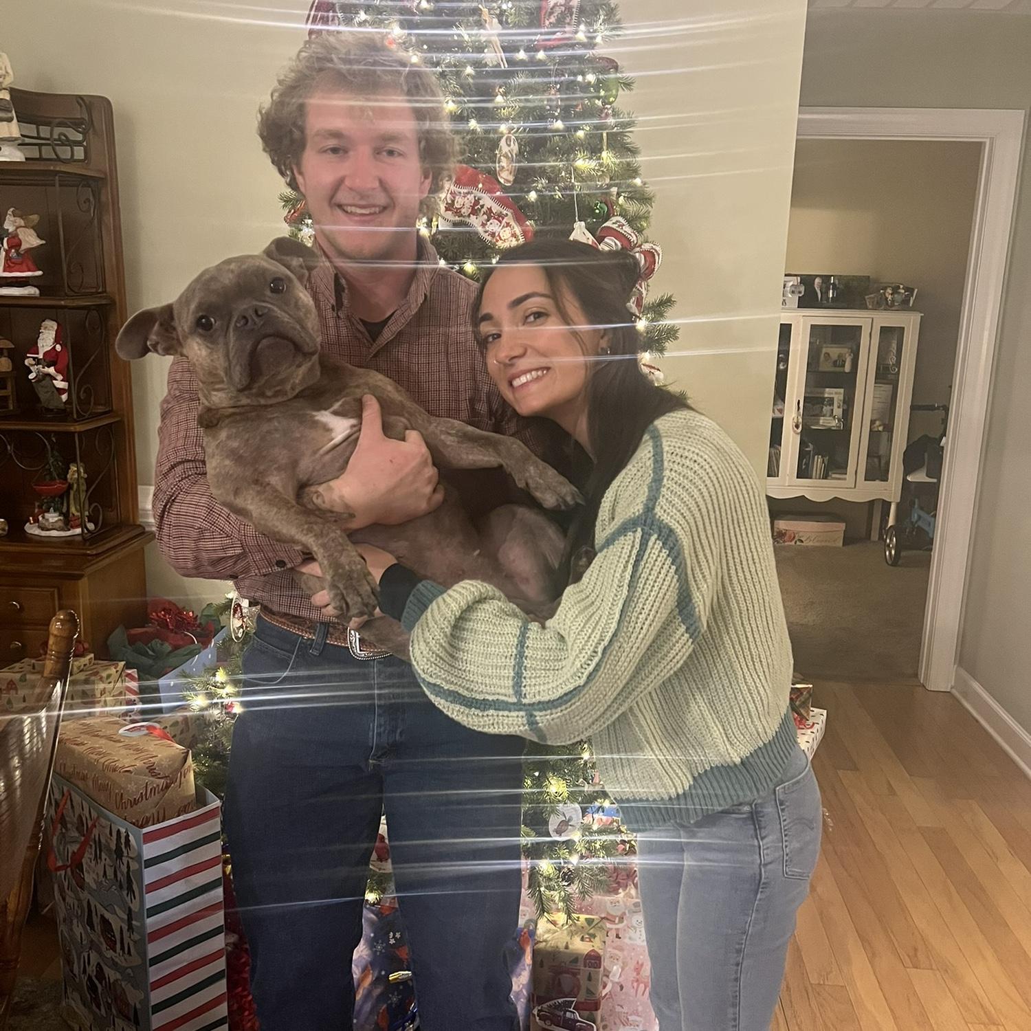 Christmas with Clover