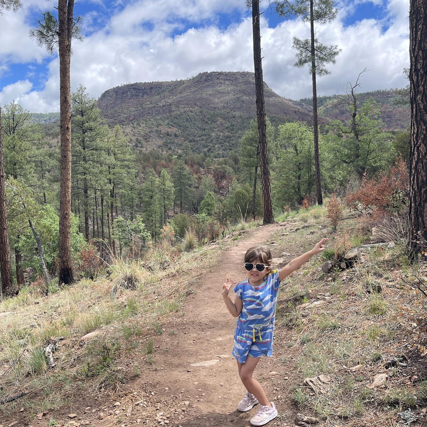 Scenic Pine Trail (40 minutes from the wedding venue)