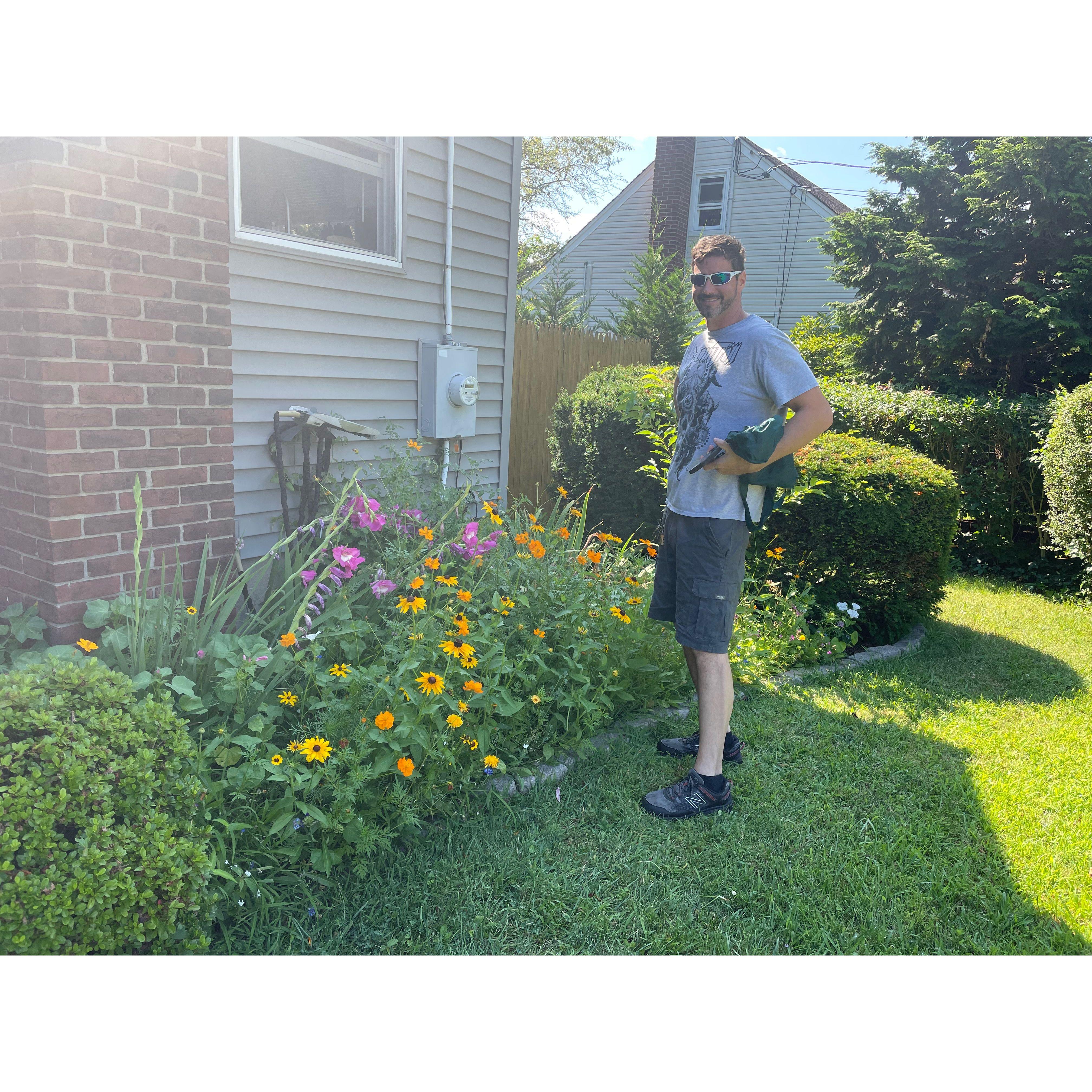 Wildflowers doing well