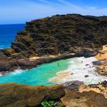 Cockroach Cove