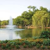 Freedom Park