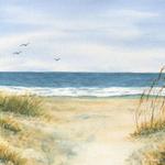 The Beach