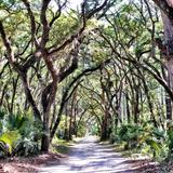 Palmetto Bluff Trails