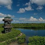 Robinson Preserve Nature Trail