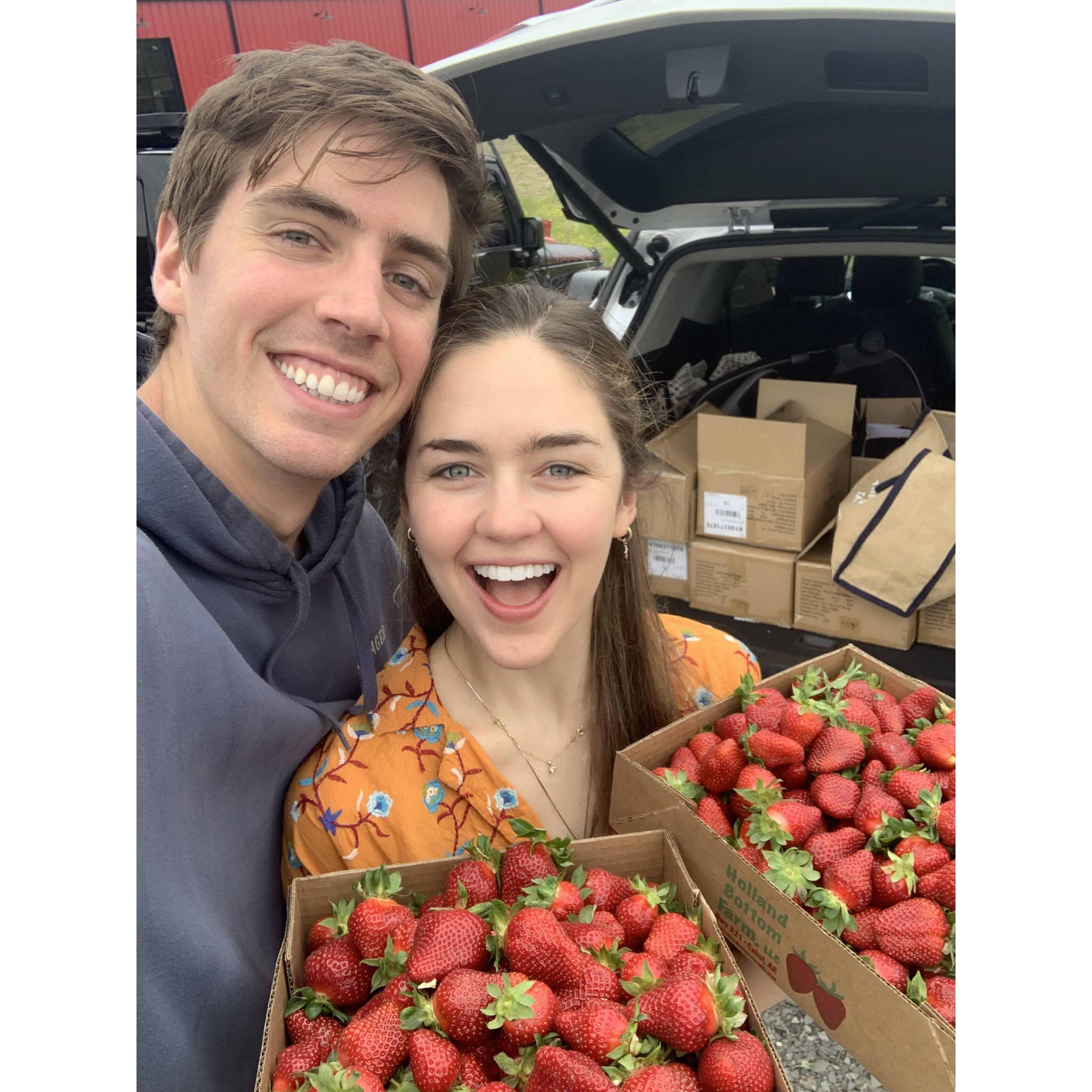 Strawberries in Arkansas