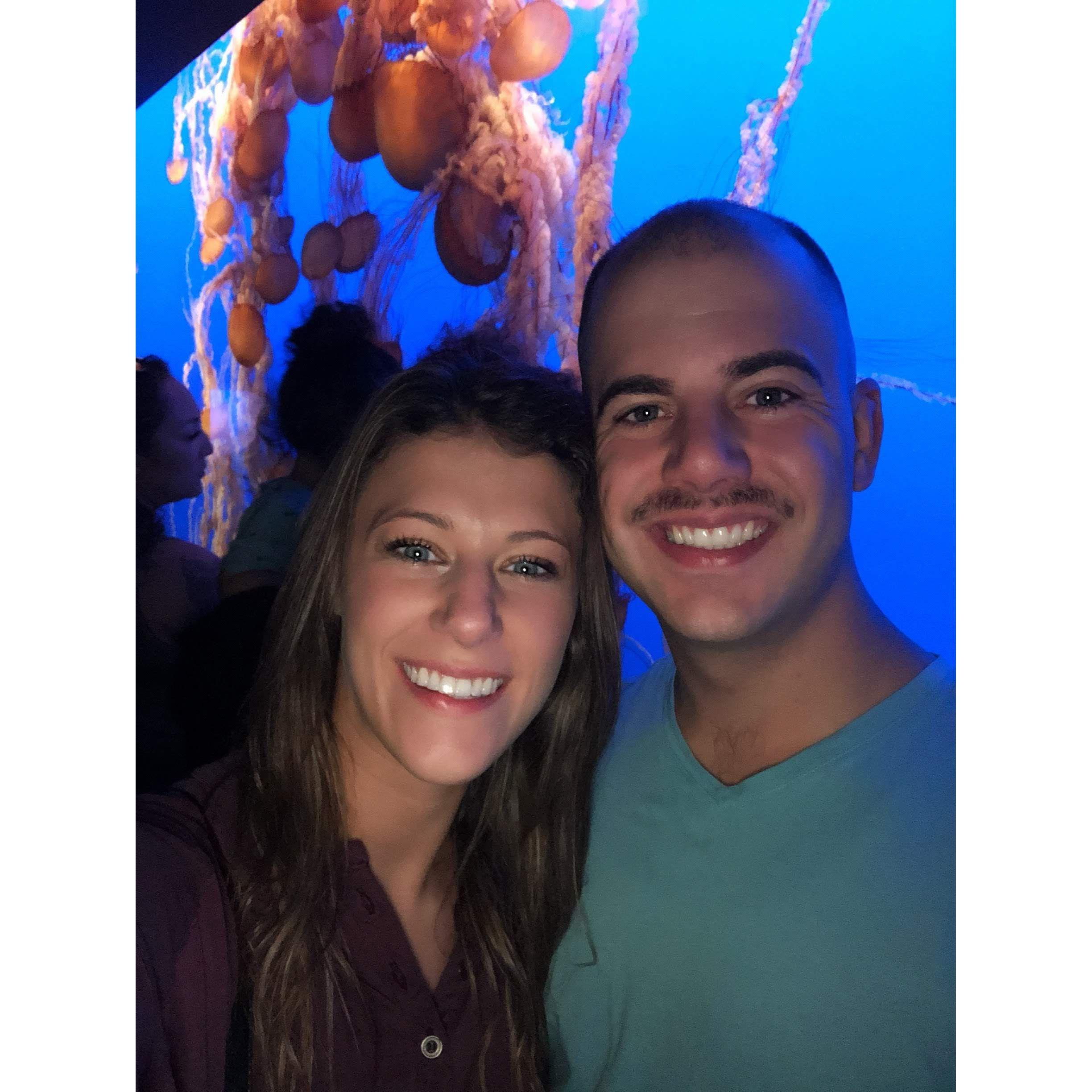 Showing Chris the Monterey Aquarium in California. August 2018