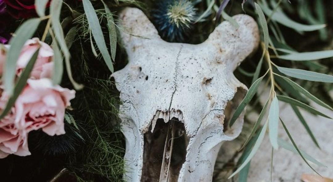 The Wedding Website of tawnie johnson and chris mccullough