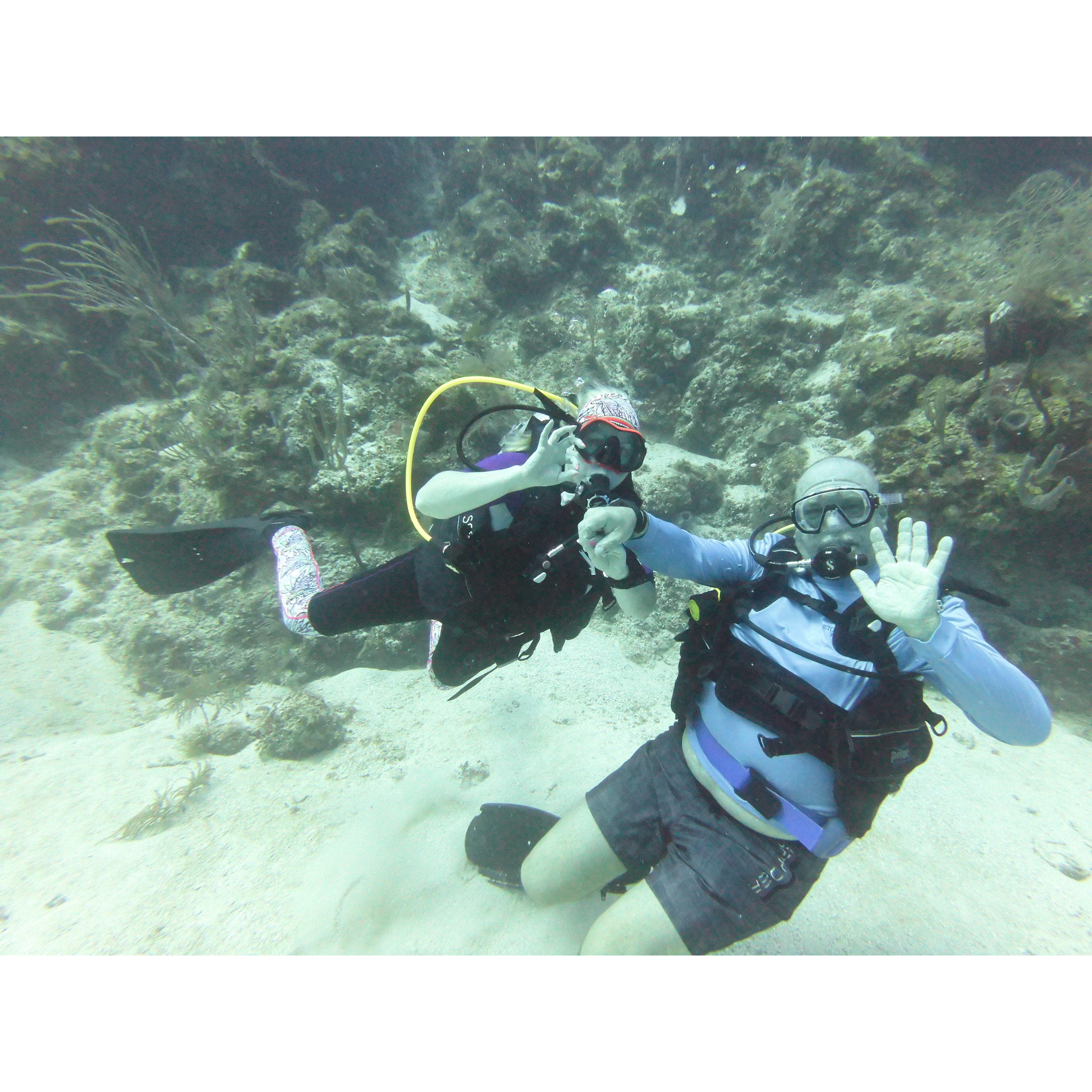This picture was taken on the same dive that Mark proposed.